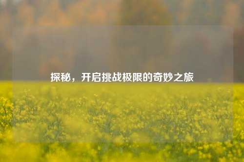 探秘,开启挑战极限的奇妙之旅