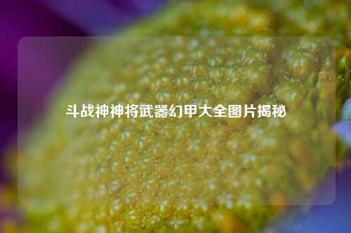斗战神神将武器幻甲大全图片揭秘
