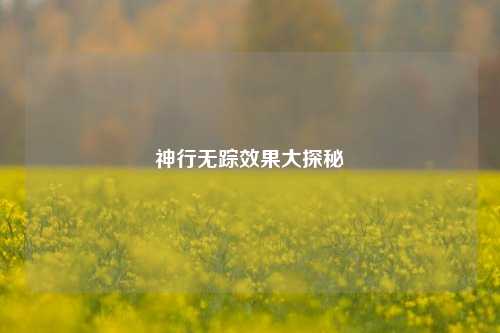 神行无踪效果大探秘