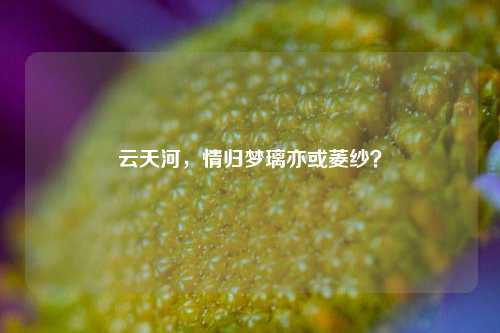云天河，情归梦璃亦或菱纱？