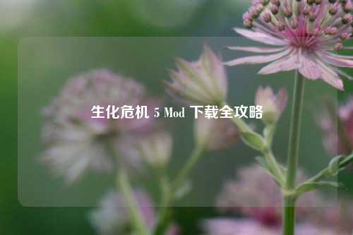 生化危机 5 Mod 下载全攻略