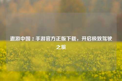 遨游中国 2 手游官方正版下载，开启极致驾驶之旅