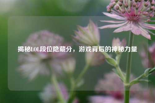 揭秘LOL段位隐藏分,游戏背后的神秘力量