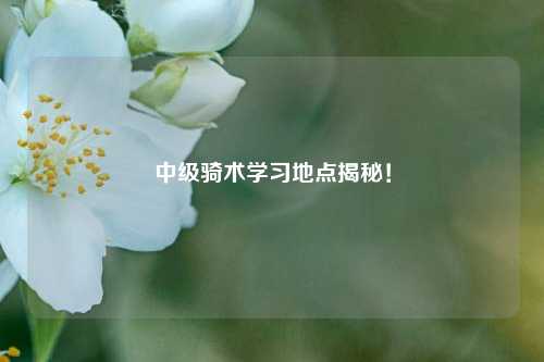 中级骑术学习地点揭秘!