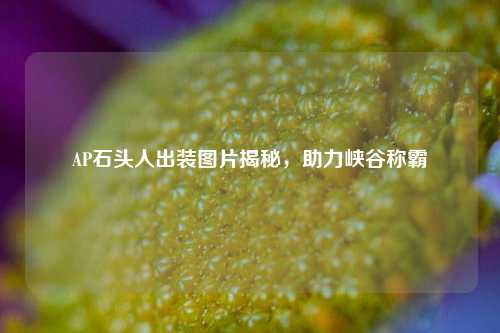 AP石头人出装图片揭秘，助力峡谷称霸